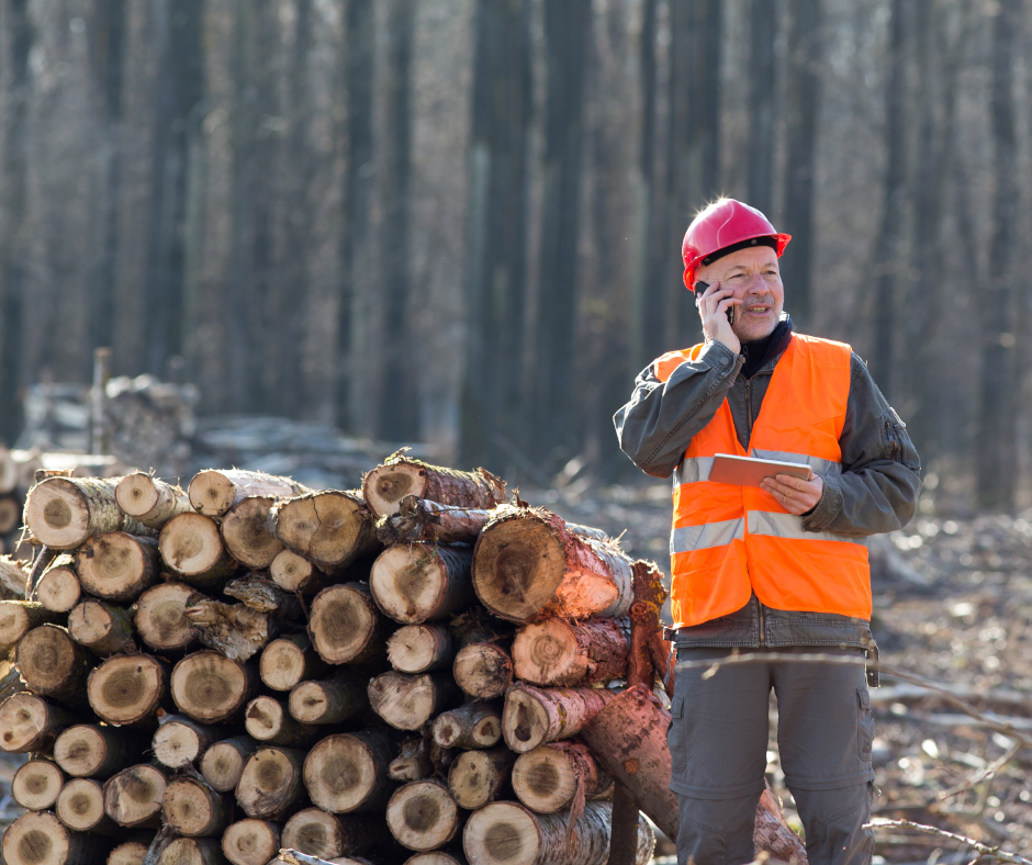Acquire Logging Equipment Loans Tailored to Your Needs